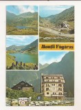 RF188 - Carte Postala - Muntii Fagaras, circulata