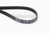 CONTINENTAL CTAM 5PK1664 EXTRA Curea transmisie cu caneluri