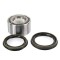Set rulment roata NISSAN MICRA II (K11) (1992 - 2003) BTA H11014BTA