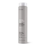 Sampon pentru volum ABH Volume No-Frizz, 250ml, Erayba