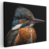Tablou pasare detaliu fundal negru 1456 Tablou canvas pe panza CU RAMA 80x120 cm