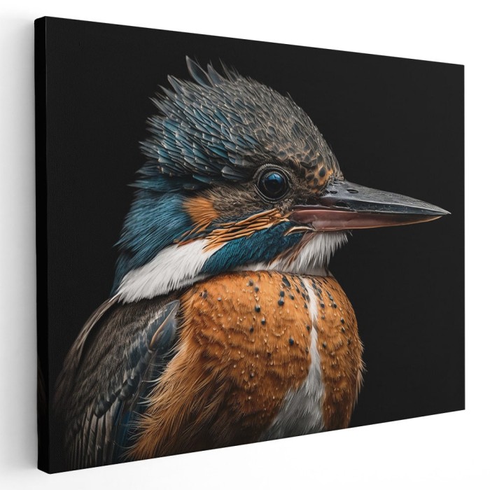 Tablou pasare detaliu fundal negru 1456 Tablou canvas pe panza CU RAMA 50x70 cm