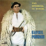 Gavril Prunoiu &ndash; Hai, mandruta, la Muscel
