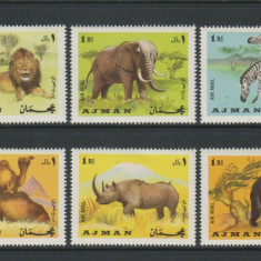 123-AJMAN 1966-Serie de 6 timbre ANIMALE-lei elefanti-zebre,camila,rinocer,urs