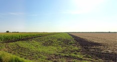 Teren agricol in judetul Prahova