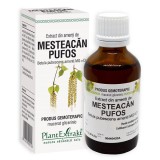 EXTRACT DIN AMENTI DE MESTEACAN PUFOS 50ML, Plantextrakt