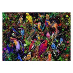 Puzzle Arta Pasarilor, 1000 Piese