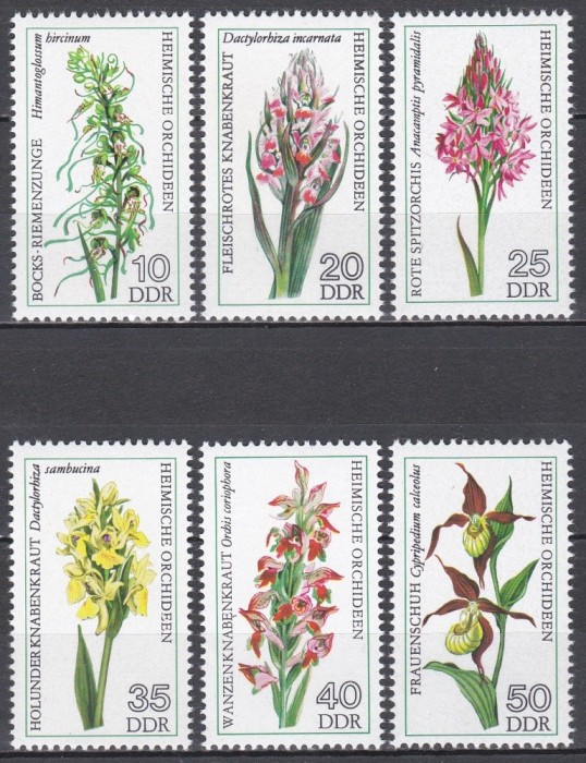 Germania RDG 1976 - Orhidee, MNH