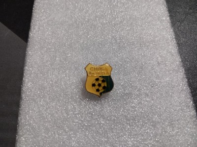 Insigna Chimia Rm. Valcea foto