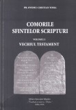 Pr. Ovidiu-Cristian Toma - Comorile Sfintelor Scripturi, volumul 1: Vechiul