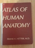 Atlas of Human Anatomy - Frank H. Netter