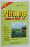 ALBINELE , STUPINA DE LANGA CASA de I. ALEXANDRU , 2000