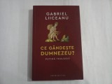 CE GANDESTE DUMNEZEU? Putina teologie - Gabriel LIICEANU