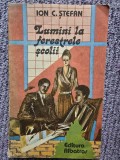 Lumini la ferestrele școlii - Ion C. Ștefan, 1989, 304 pag, stare buna