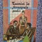 Lumini la ferestrele școlii - Ion C. Ștefan, 1989, 304 pag, stare buna