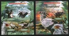 UGANDA 2012 FAUNA PASARI SECRETARYBIRD foto