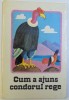 CUM A AJUNS CONDORUL REGE - POVESTIRI INDIENE de KURT KAUTER , ilustratii de INGE GURTZIG , 1983