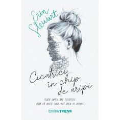 Cicatrici in chip de aripi - Erin Stewart, editia 2021