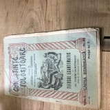 B. Cunostinte folositoare Tifosul Exantematic