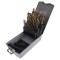 Set Burghie Metal Oțel Rapid HSS 25 Bucăți
