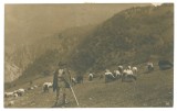 4205 - ETHNIC, Shepherd Cioban, Romania - old postcard - used - 1923