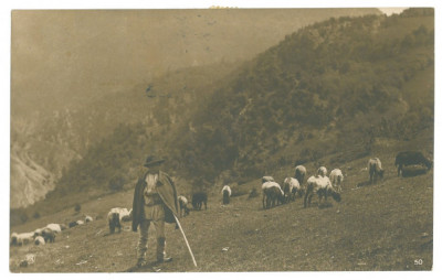 4205 - ETHNIC, Shepherd Cioban, Romania - old postcard - used - 1923 foto