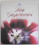 LALE GUZELLEMESI IN PRAISE OF THE TULIP , 2007