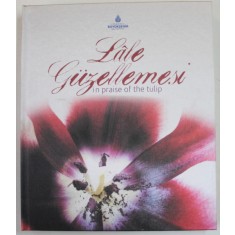 LALE GUZELLEMESI IN PRAISE OF THE TULIP , 2007