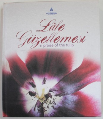 LALE GUZELLEMESI IN PRAISE OF THE TULIP , 2007 foto