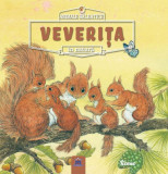 Veverița. Animale sălbatice &icirc;n natură - Paperback brosat - Ren&eacute;e Rahir - Didactica Publishing House