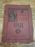 Pan (traducere de Ion Luca Caragiale) - Knut Hamsun