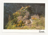 FA35-Carte Postala- FRANTA - Provence Fragile, necirculata, Fotografie