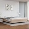 vidaXL Cadru de pat cu arcuri, cappuccino, 200x200 cm, piele ecologică 3120723