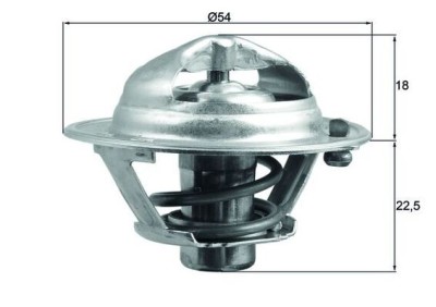 MAHLE TX 166 90D termostat,lichid racire foto