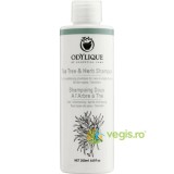 Sampon Anti-Matreata cu Tea Tree si Plante Bio 200ml
