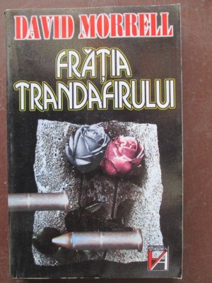 Fratia trandafirului foto