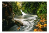 Tablou Canvas, "Cascade printre frunze de toamnă", R&acirc;u, Cascadă, Pădure, Frunziș, Toamnă, Apă, Curgere, Natură, Verdeață, Lumină, 39 x 26 cm, CMCLASS