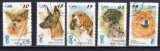 A12 S1 23 - Timbre foarte vechi - Cuba - rase de caini - 1998