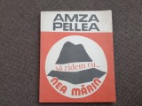 Amza Pelea SA RADEM CU NEA MARIN