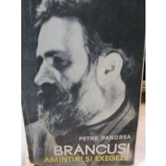 BRANCUSI AMINTIRI SI EXEGEZE - PETRE PANDREA