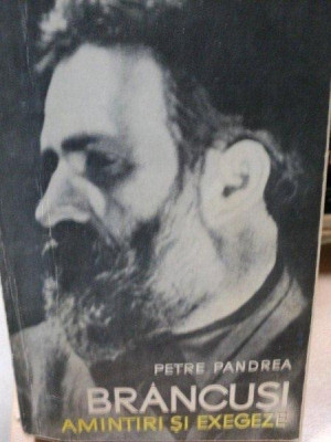 BRANCUSI, AMINTIRI SI EXEGEZE de PETRE PANDREA , 1967 foto