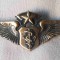 Insigna AVIATIE militara Internationala - Aviator - Pilot Observator de Bord USA