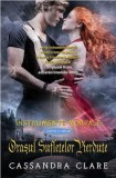 Orasul sufletelor pierdute | Cassandra Clare