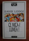 David Lodge - Ce mica-i lumea!