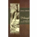 Kahlil Gibran - Pribeagul. Zeii pamantului, Furtunile, Pribeagul - 132724