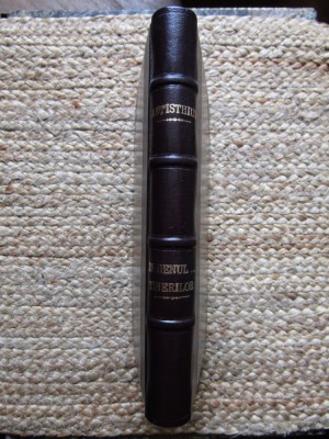 ANTISTHIUS(N.STEINHARDT),IN GENUL...TINERILOR/EDITIA I,1934/Nr.pagini:270 foto