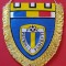 Fanion (rar) Fotbal - FC PETROLUL PLOIESTI (anul 1995)