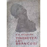 TINERETEA LUI BRANCUSI-V.G. PALEOLOG-178968