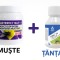 INSECTICID CONCENTRAT MUSTE SI TANTARI MASTERFLY + FOVAL