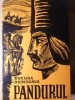 Pandurul - Bucura Dumbrava, Editura Tineretului 1969, Roman Cartonat, 348 pagini